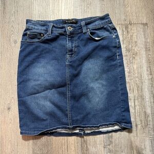 Baccini Blue Mini Skirt Chic Style